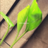 旧货回收，回收一切
