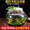 出售/全新/聚财鱼缸/70元